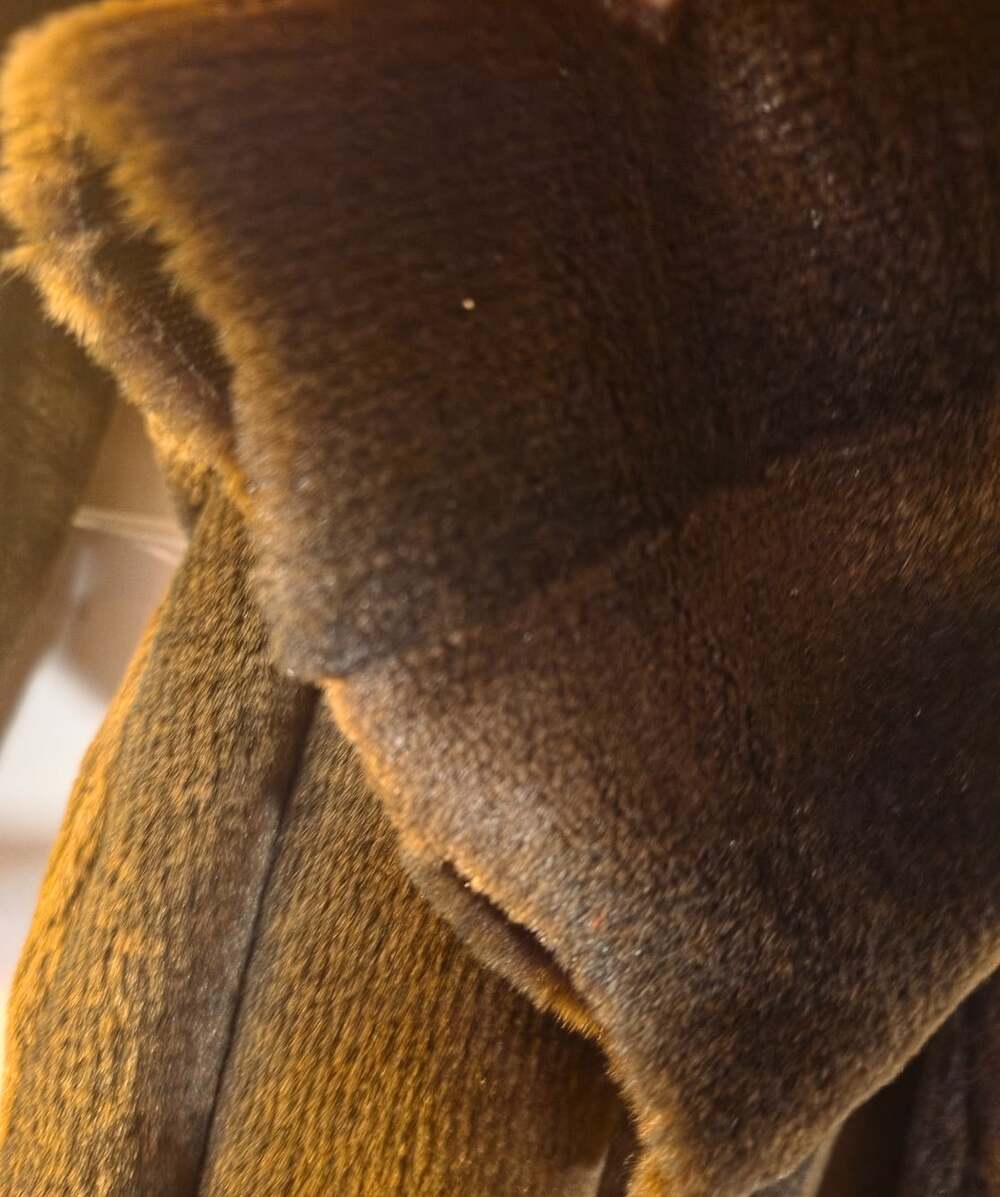 Vintage Cache Faux Fur Belted Dark Brown Coat Sz 0 - Picture 11 of 13